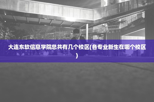 大连东软信息学院总共有几个校区(各专业新生在哪个校区)