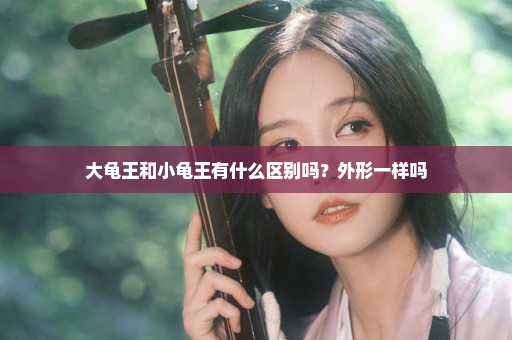 大龟王和小龟王有什么区别吗？外形一样吗