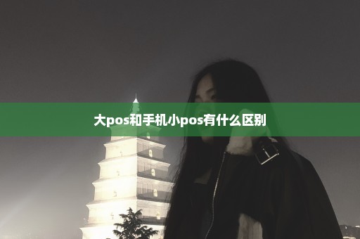 大pos和手机小pos有什么区别