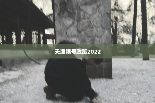 天津限号政策2022