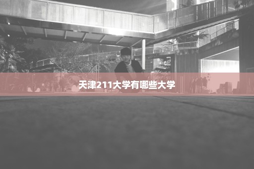 天津211大学有哪些大学