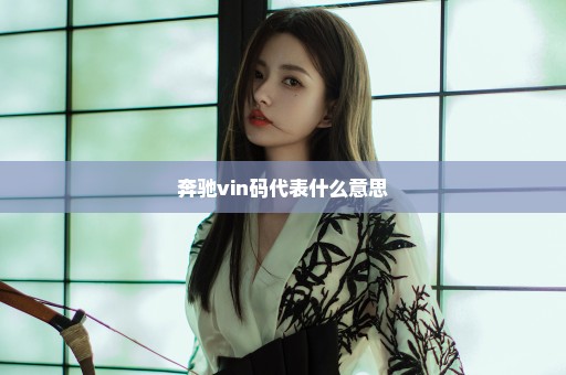 奔驰vin码代表什么意思