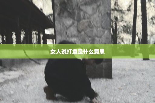 女人说打鱼是什么意思