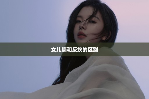 女儿墙和反坎的区别