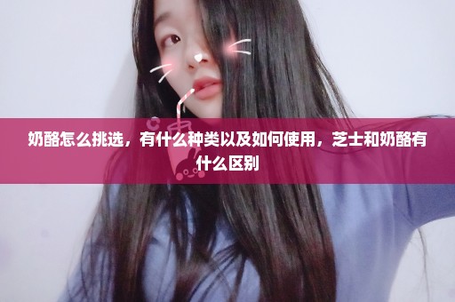 奶酪怎么挑选，有什么种类以及如何使用，芝士和奶酪有什么区别