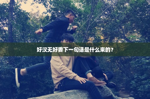 好汉无好妻下一句话是什么来的？