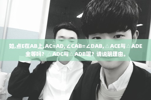 如,点E在AB上,AC=AD,∠CAB=∠DAB,△ACE与△ADE全等吗？△ADC与△ADB呢？请说明理由。