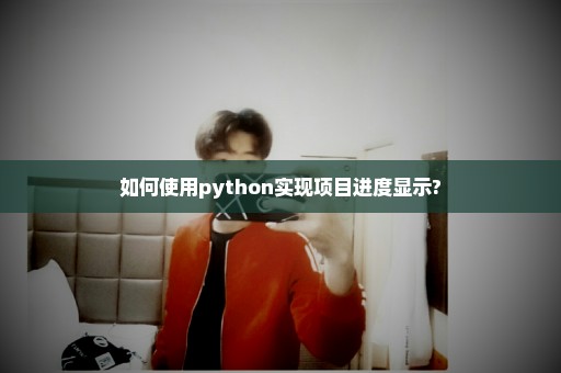 如何使用python实现项目进度显示?