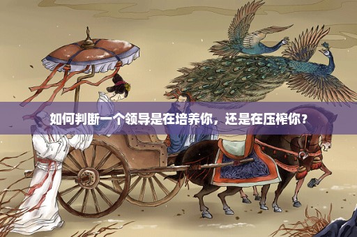 如何判断一个领导是在培养你，还是在压榨你？