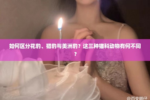 如何区分花豹、猎豹与美洲豹？这三种猫科动物有何不同？