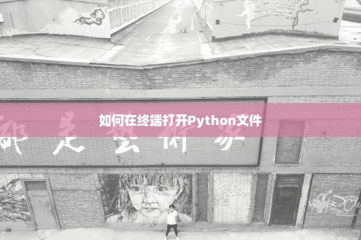 如何在终端打开Python文件