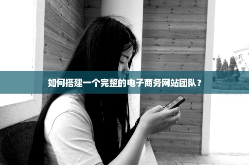 如何搭建一个完整的电子商务网站团队？