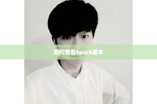 如何查看Spark版本