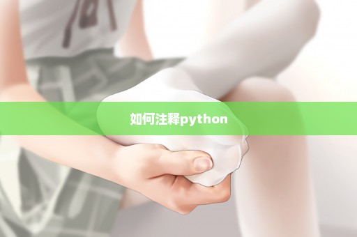 如何注释python