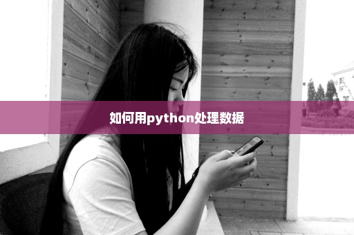 如何用python处理数据