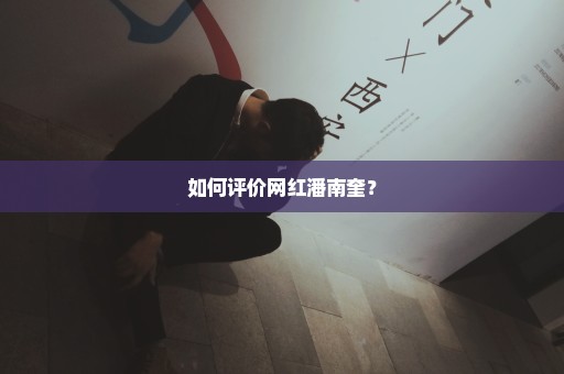 如何评价网红潘南奎？