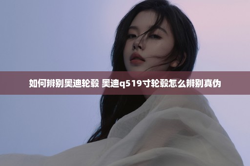 如何辨别奥迪轮毂 奥迪q519寸轮毂怎么辨别真伪