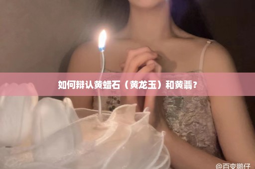 如何辩认黄蜡石（黄龙玉）和黄翡？