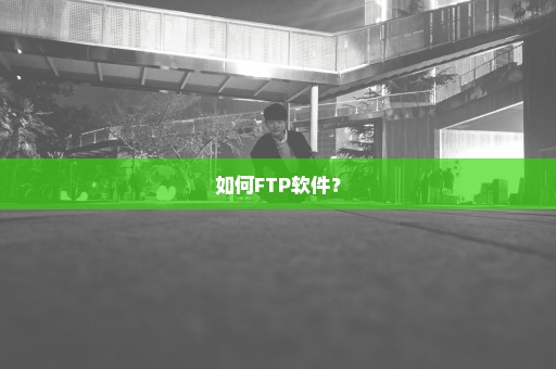 如何FTP软件？