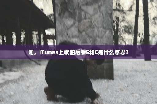 如，iTunes上歌曲后缀E和C是什么意思？