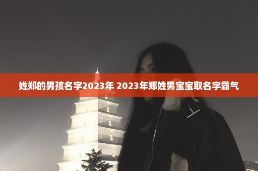 姓郑的男孩名字2023年 2023年郑姓男宝宝取名字霸气