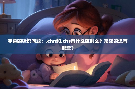 字幕的标识问题：.chn和.chs有什么区别么？常见的还有哪些？