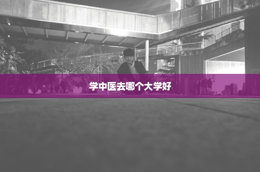 学中医去哪个大学好