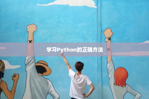 学习Python的正确方法