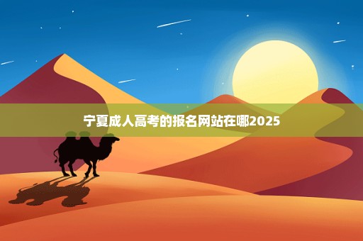 宁夏成人高考的报名网站在哪2025