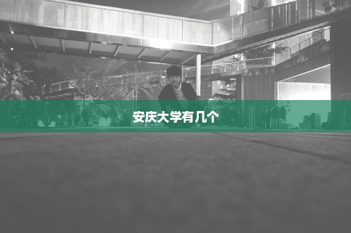 安庆大学有几个