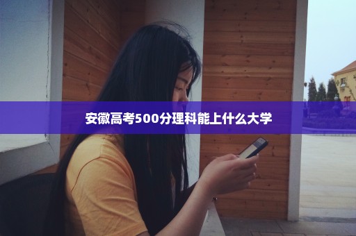 安徽高考500分理科能上什么大学