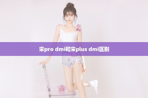 宋pro dmi和宋plus dmi区别