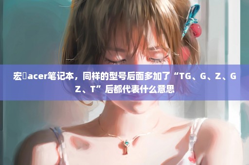 宏碁acer笔记本，同样的型号后面多加了“TG、G、Z、GZ、T”后都代表什么意思