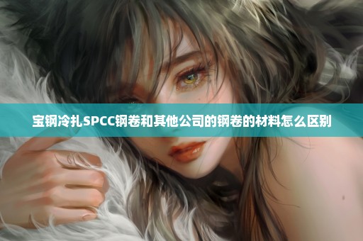 宝钢冷扎SPCC钢卷和其他公司的钢卷的材料怎么区别