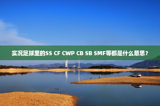 实况足球里的SS CF CWP CB SB SMF等都是什么意思？