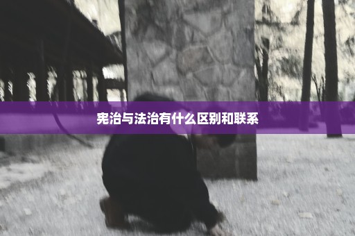 宪治与法治有什么区别和联系