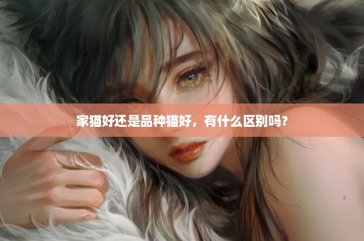 家猫好还是品种猫好，有什么区别吗？