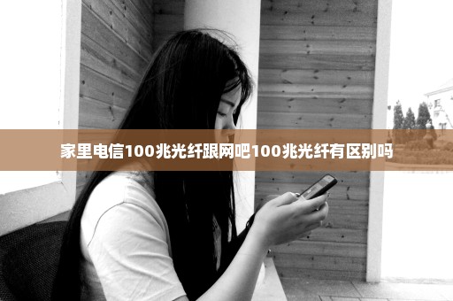 家里电信100兆光纤跟网吧100兆光纤有区别吗