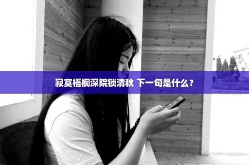 寂寞梧桐深院锁清秋 下一句是什么？