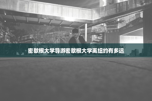 密歇根大学导游密歇根大学离纽约有多远