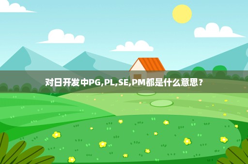 对日开发中PG,PL,SE,PM都是什么意思？