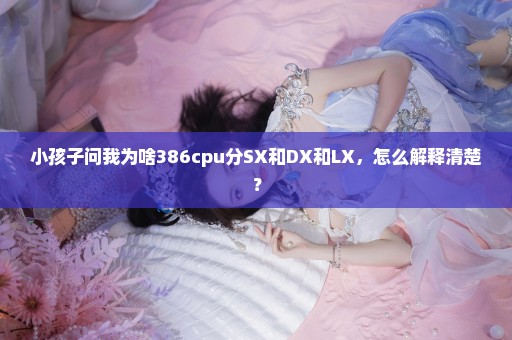 小孩子问我为啥386cpu分SX和DX和LX，怎么解释清楚？