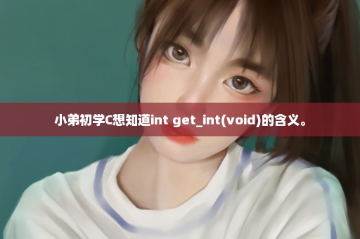 小弟初学C想知道int get_int(void)的含义。