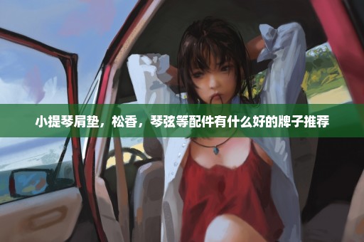 小提琴肩垫，松香，琴弦等配件有什么好的牌子推荐