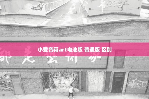 小爱音箱art电池版 普通版 区别