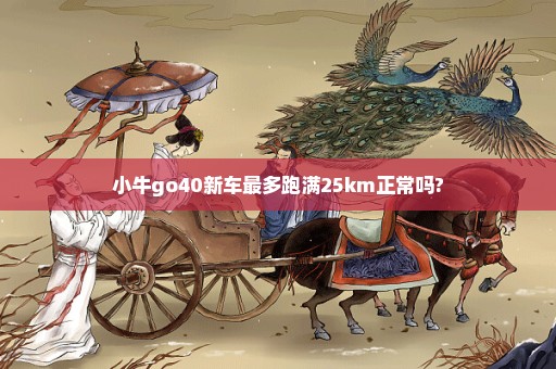 小牛go40新车最多跑满25km正常吗?