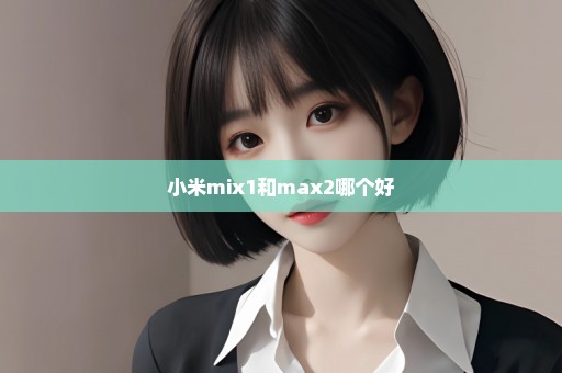 小米mix1和max2哪个好