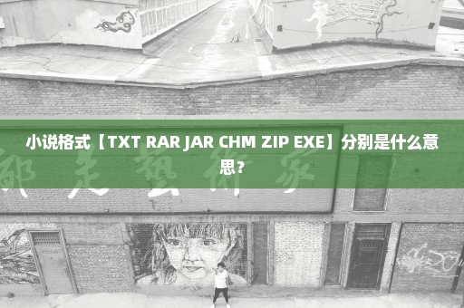 小说格式【TXT RAR JAR CHM ZIP EXE】分别是什么意思？