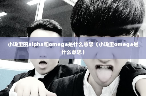 小说里的alpha和omega是什么意思（小说里omega是什么意思）