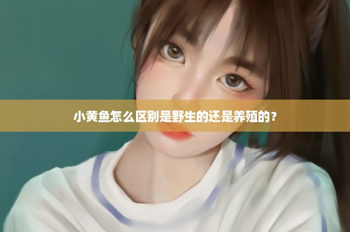 小黄鱼怎么区别是野生的还是养殖的？